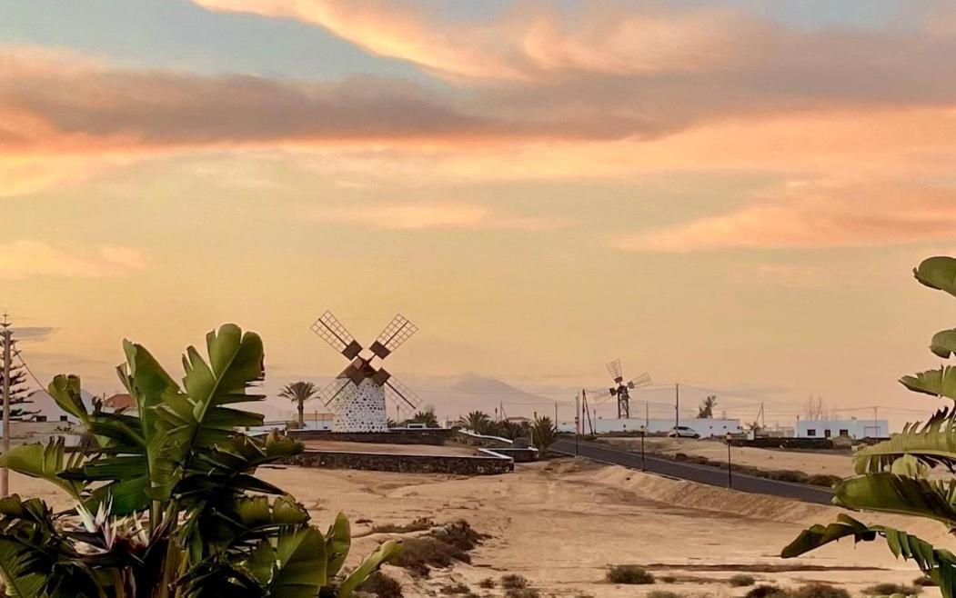 Turquesa 1 Fuerteventura Vila Lajares Exterior foto