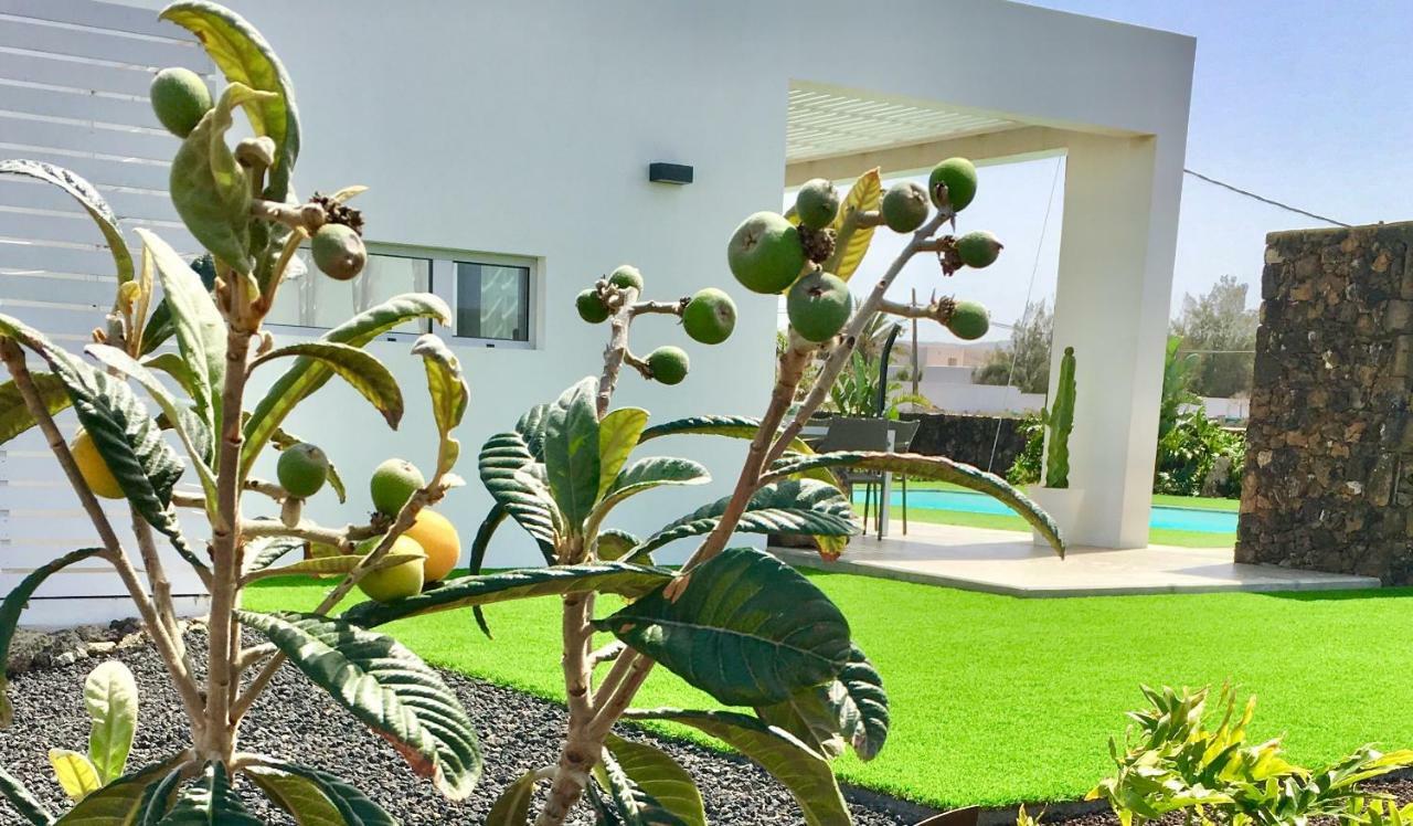 Turquesa 1 Fuerteventura Vila Lajares Exterior foto